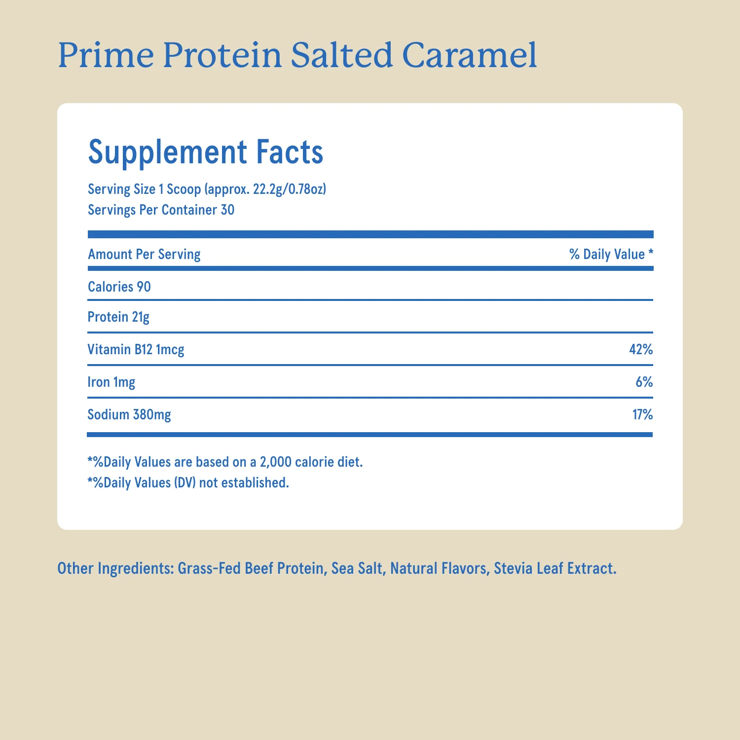 Prime Protein - Image 17